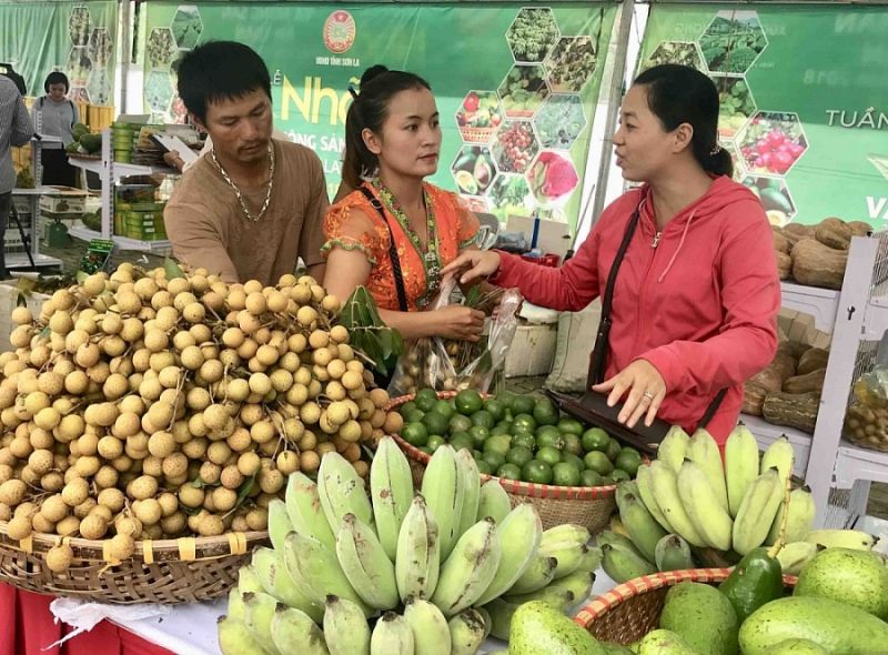 Nhãn Sơn La