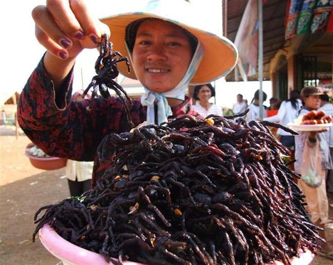 Ảnh minh họa - nguồn: internet