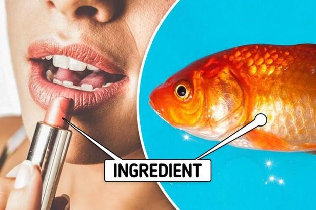 Nhiều loại son có chứa vảy cá