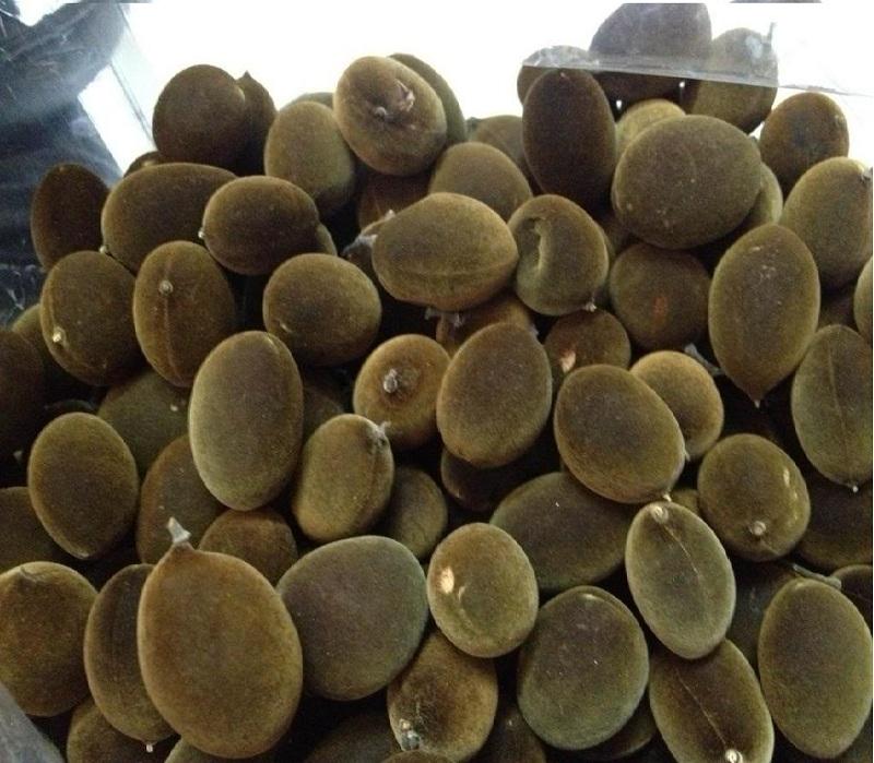Trái Xay nhung rừng