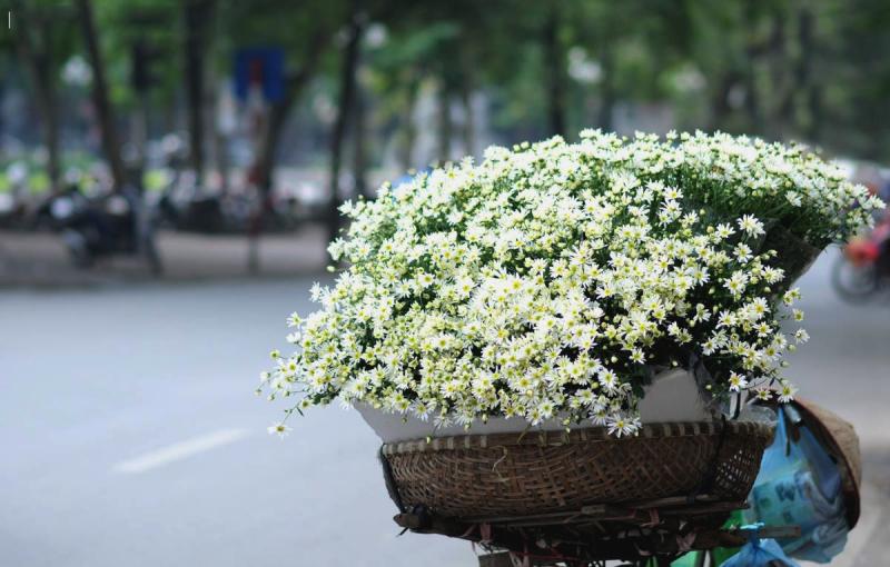 Hà Nội trong tôi