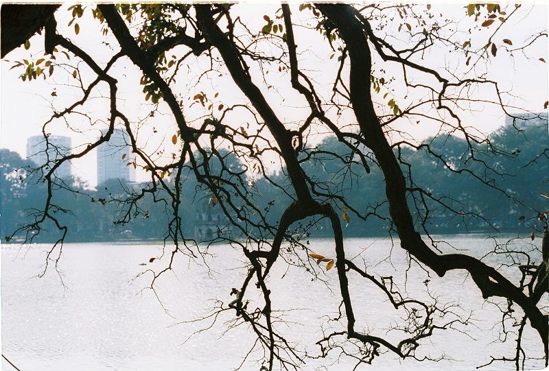 Ký ức đông Hà Nội
