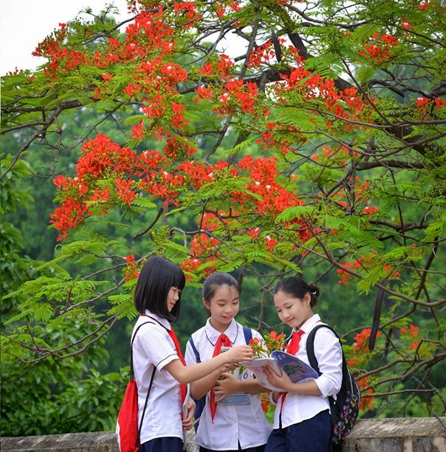 Bài hát: Cho bạn cho tôi