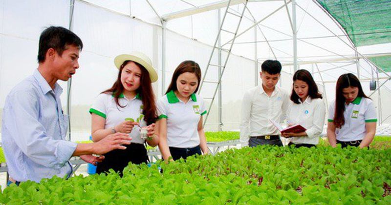 Hoạt động kết hợp sẽ nâng cao hiệu quả ghi nhớ
