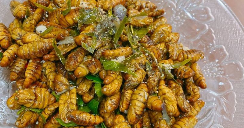 Nhộng tằm ở Hàn Quốc