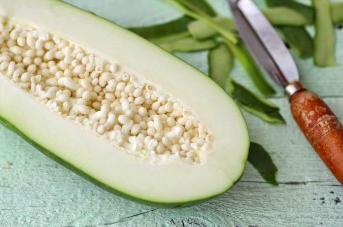 Nhựa đu đủ non có tác dụng chữa đau nhức răng