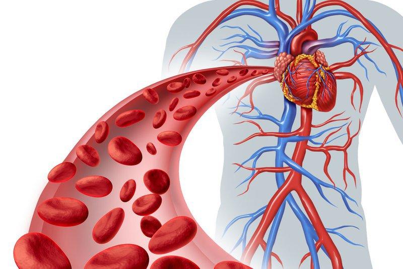 Những ai có nguy cơ mắc bệnh tim mạch?