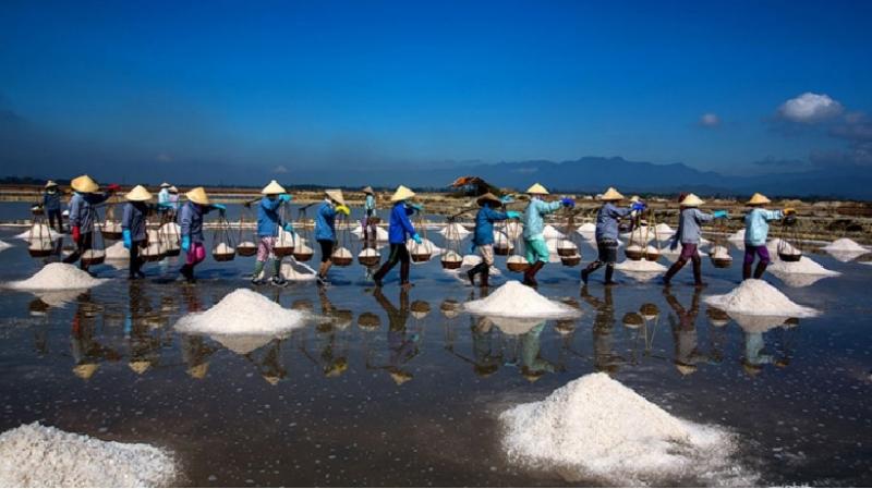Từng hàng những người dân đang gánh muối về kho