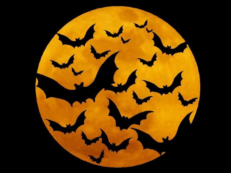 Rùng rợn Halloween