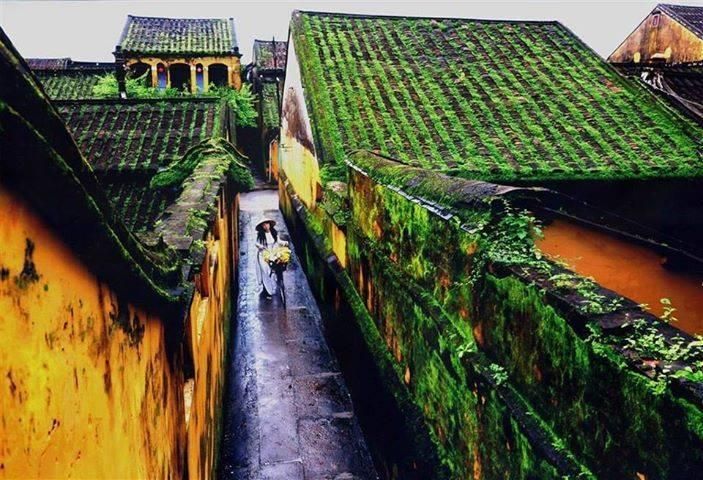 Những con hẻm nhỏ rêu  phong tại Hội An