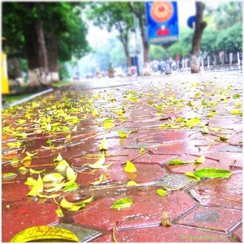 Những cơn mưa lạnh