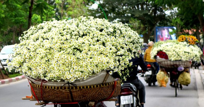Những gánh hoa ven đường