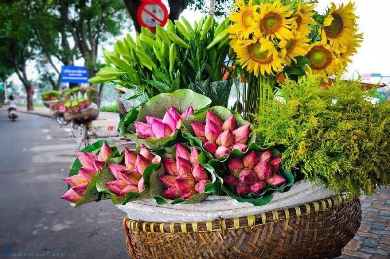 Hà Nội duyên dáng trong những cánh hoa rong