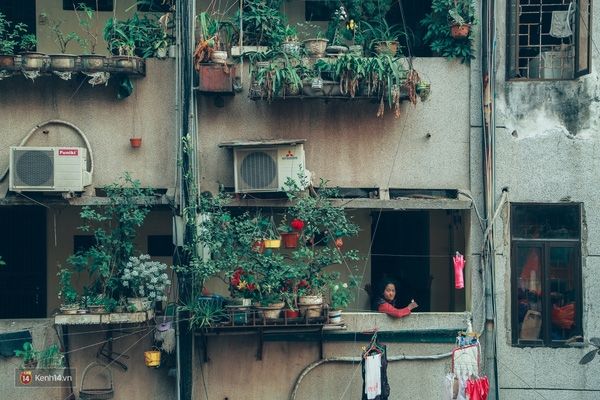 Với những giàn hoa đặc trưng