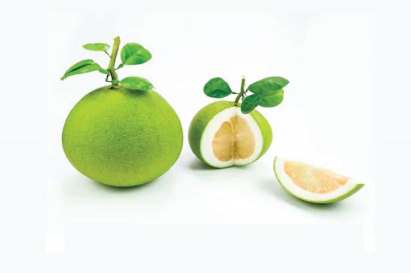 Quả Bưởi