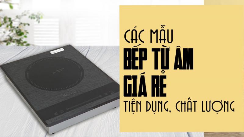 Những mẫu bếp từ âm chính hãng, được mua nhiều nhất
