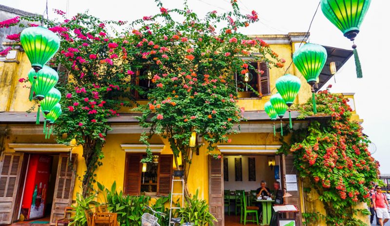 Những ngội nhà phủ đầy hoa ở Hội An