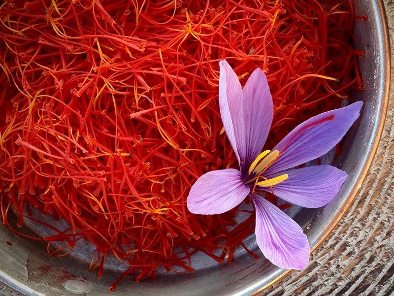 Nhụy hoa nghệ tây