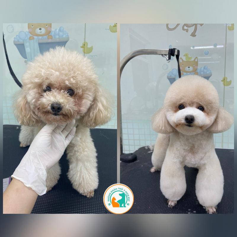 Nice Pet Clinic & Spa