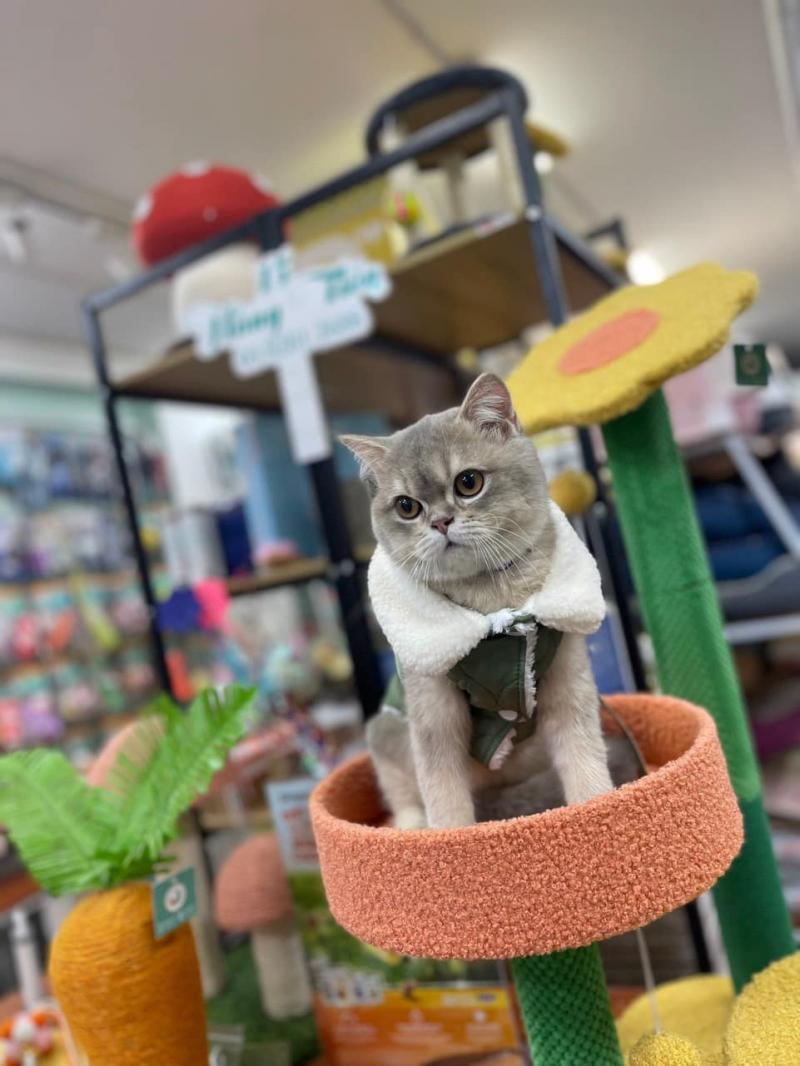 Nice Pet Clinic & Spa