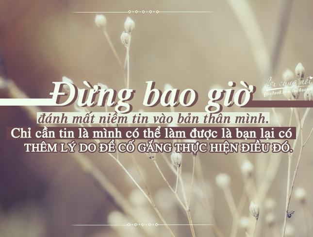 Niềm tin vào cuộc sống