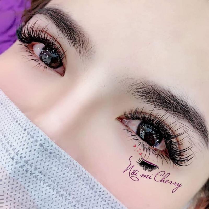 Nối mi Cherry