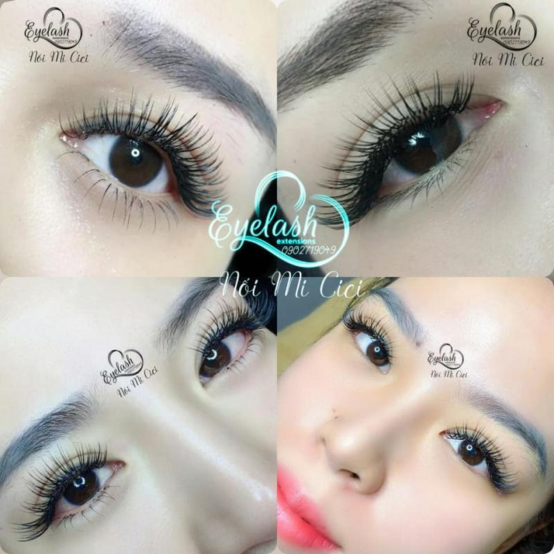 Nối Mi Cici