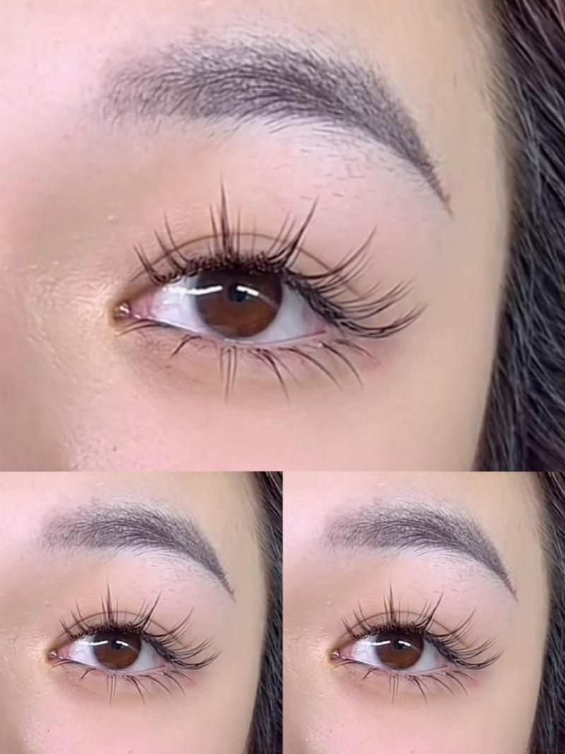 Nối mi Huỳnh Lê