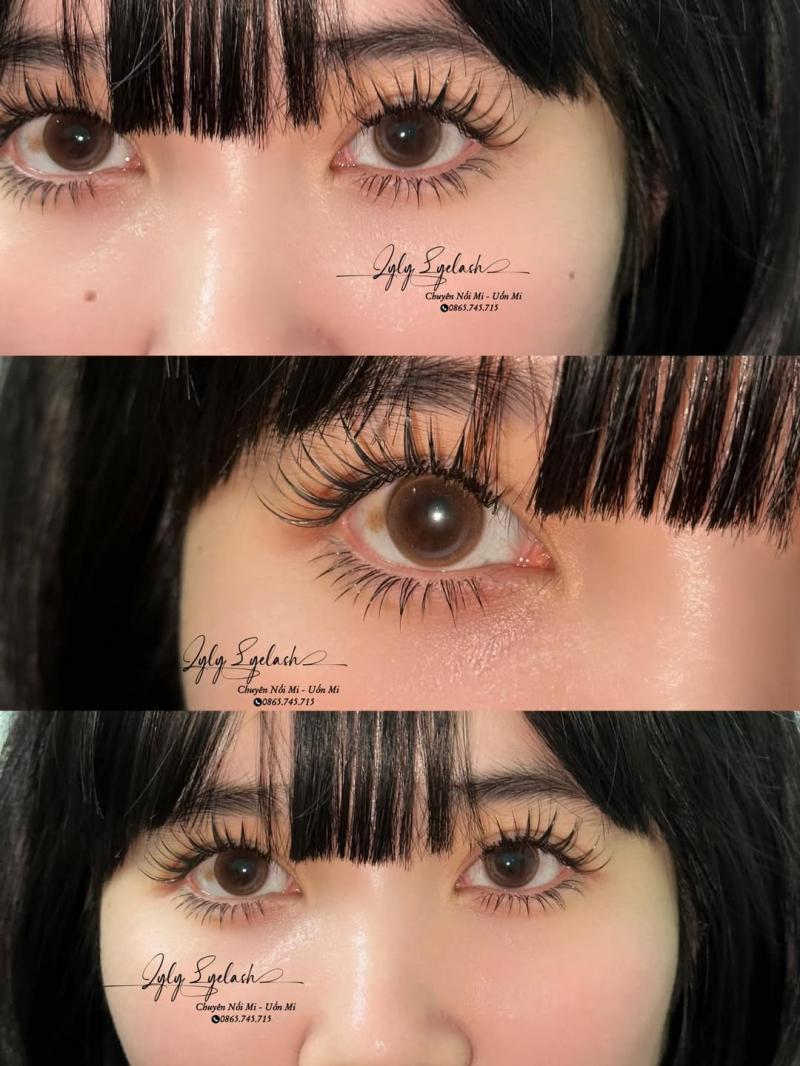Nối Mi Lyly - Lyly Eyelash