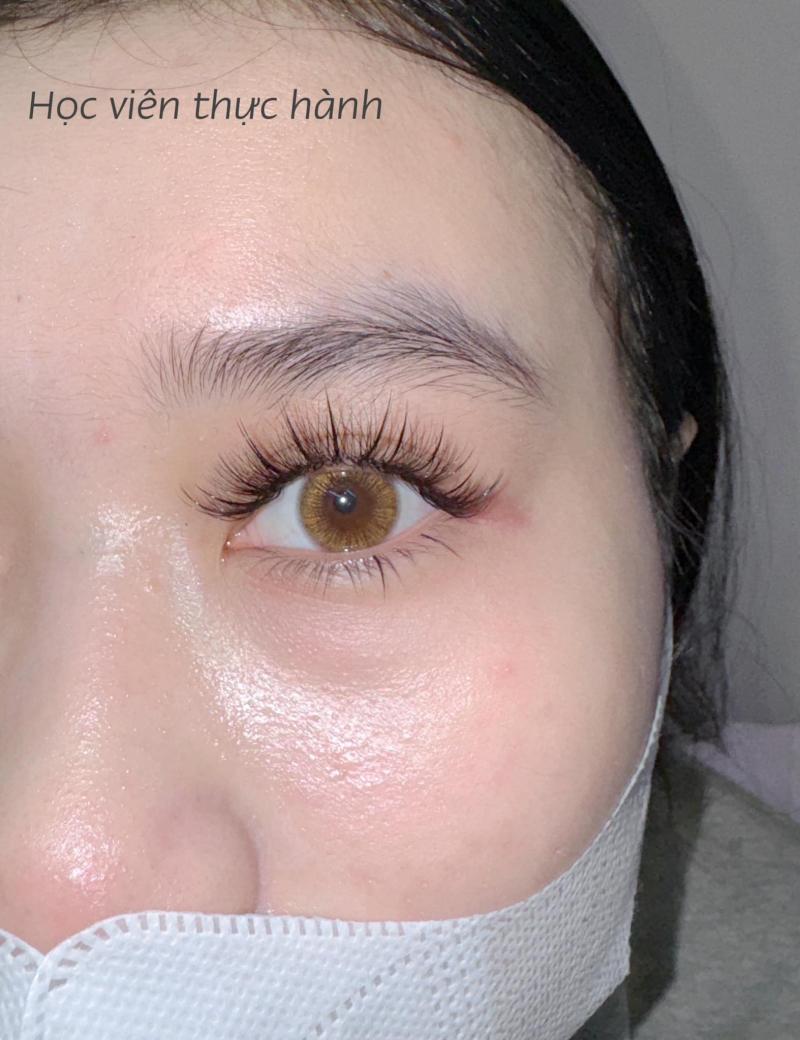 Nối Mi Nguyễn Trân