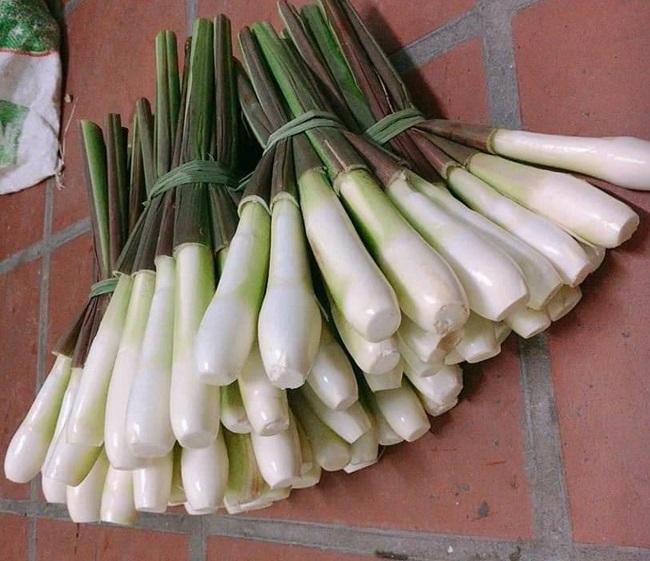 Củ niễng