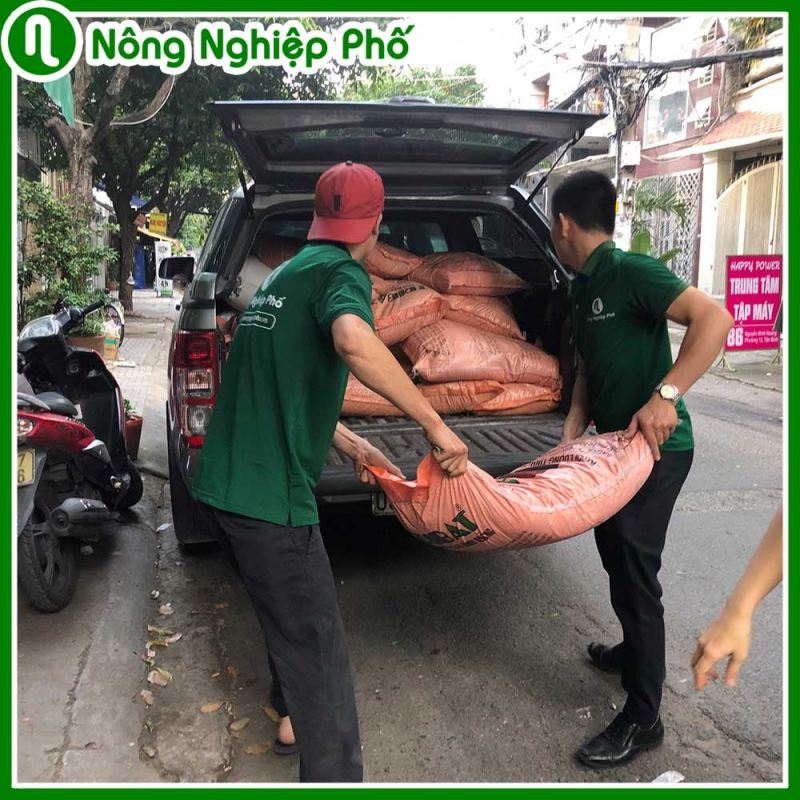 Nông Nghiệp phố
