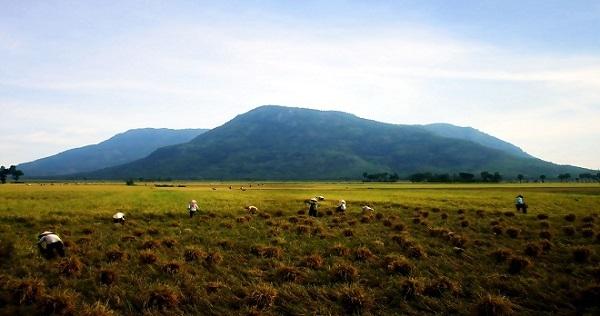 Núi Cấm Sơn