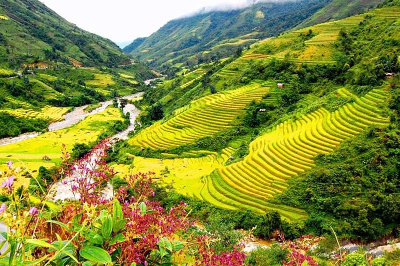 Ngắm nhìn ruộng bậc thang trên đỉnh Hàm Rồng