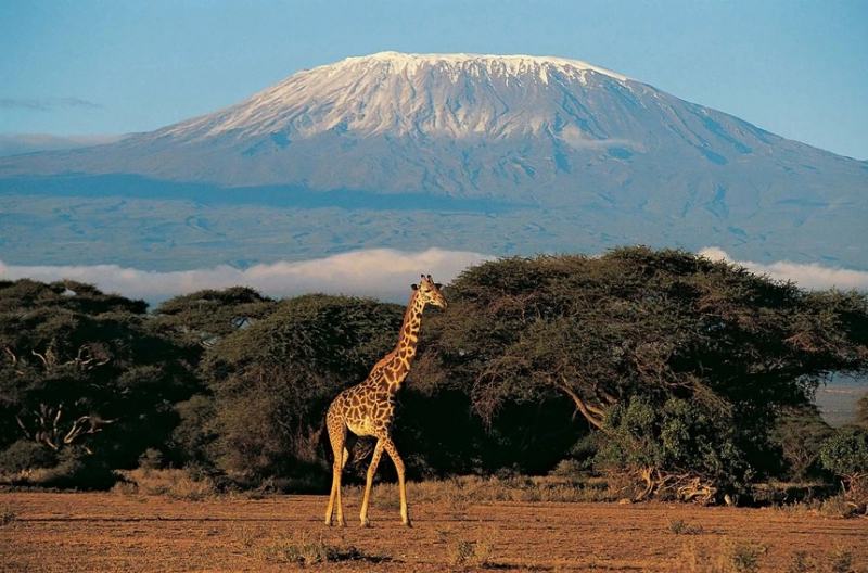 Núi Kilimanjaro, Tarzania