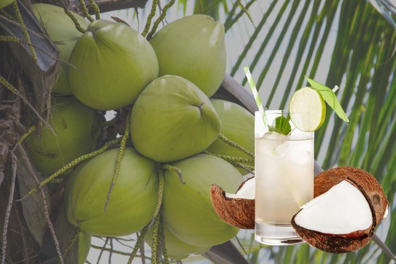 Nước dừa
