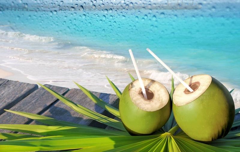 Nước dừa là thức uống giải khát tốt cho sức khỏe