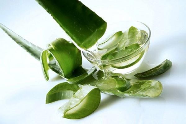 Nước ép lô hội