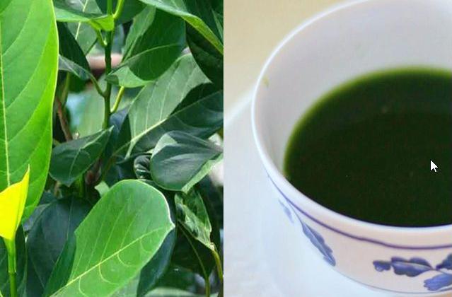 Nước lá mít