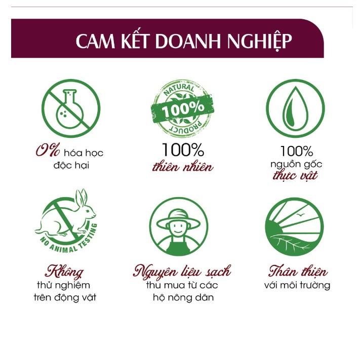 Nước lau sàn đuổi muỗi hữu cơ 24CareBaby