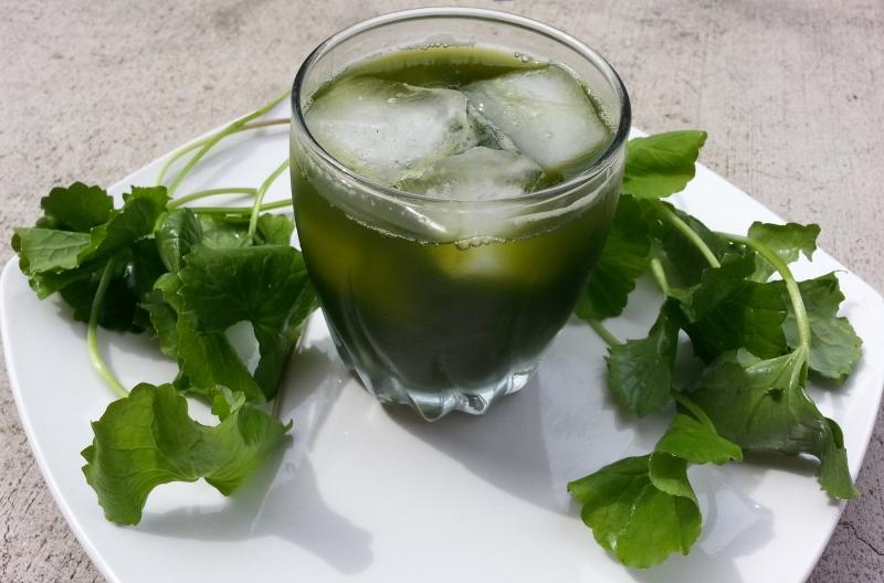 Nước rau má thanh mát