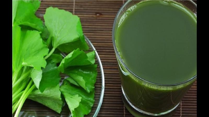 Nước ép rau má giúp thanh nhiệt cơ thể hiệu quả