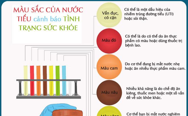 Màu sắc của nước tiểu cảnh báo tình trạng sức khỏe