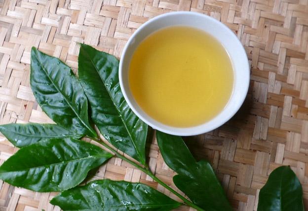 Nước trà xanh