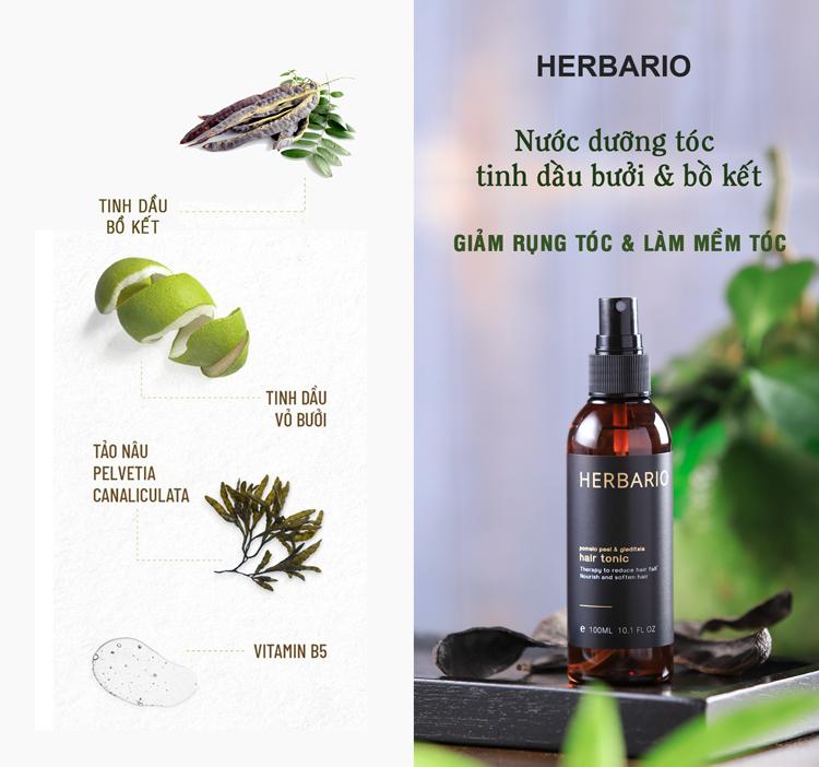 Nước xịt dưỡng tóc tinh dầu vỏ bưởi & bồ kết HERBARIO