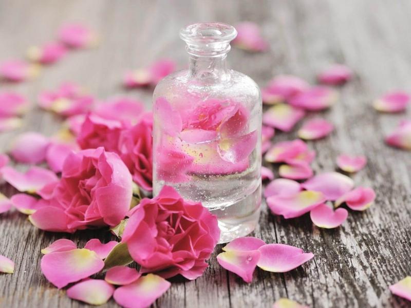 Nuôi dưỡng da từ sâu bên trong