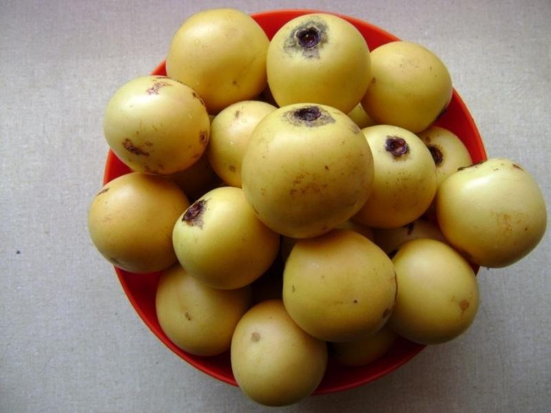 Quả Marula