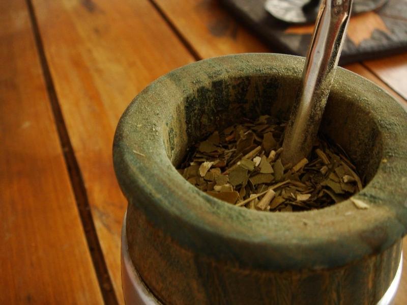 Trà Yerba Mate