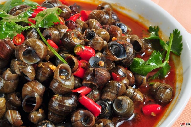 Ốc gạo xào cay