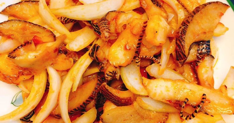 Ốc giác xào sa tế